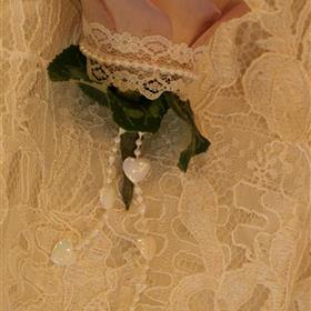 fwthumbAmnesia with lace trim.jpg